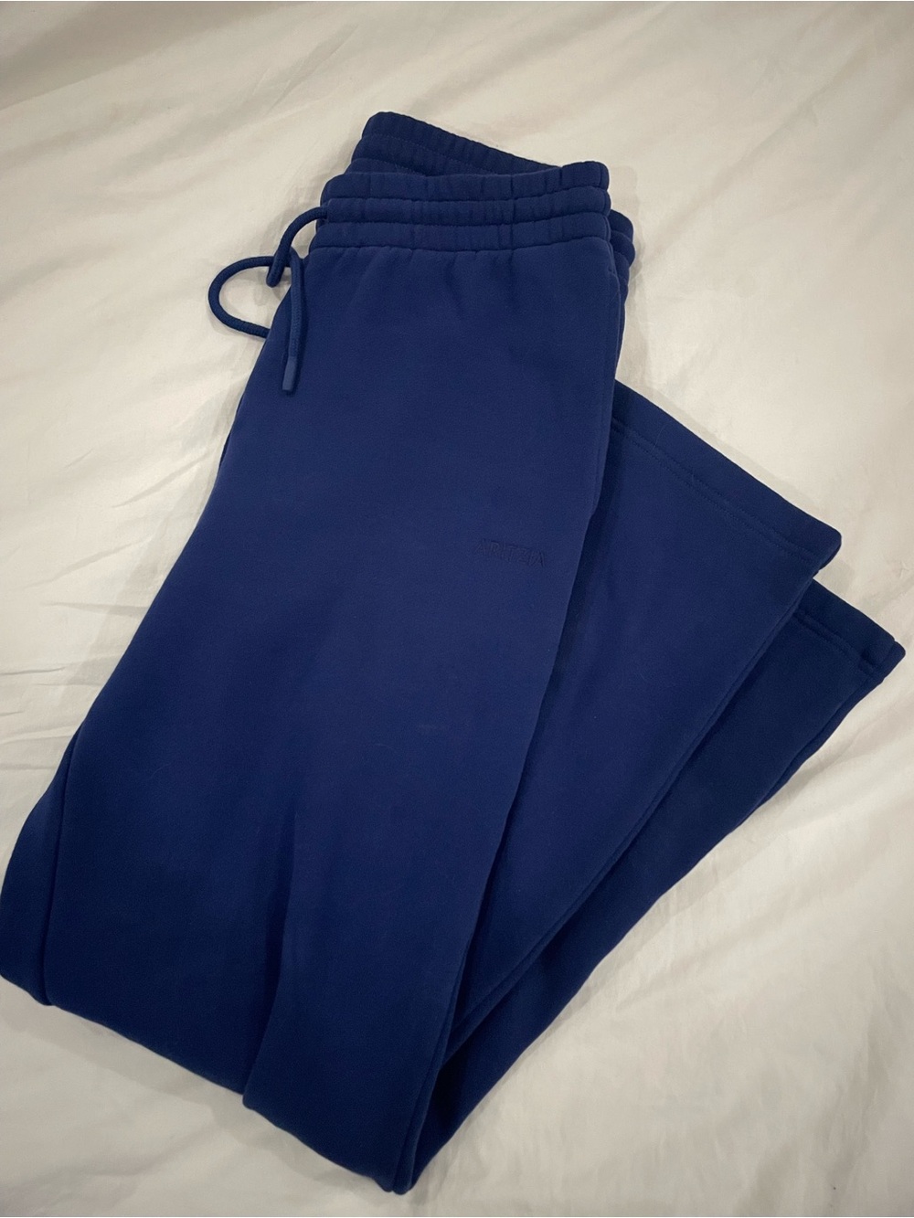 Aritzia Byron Blue Boyfriend Sweatpants